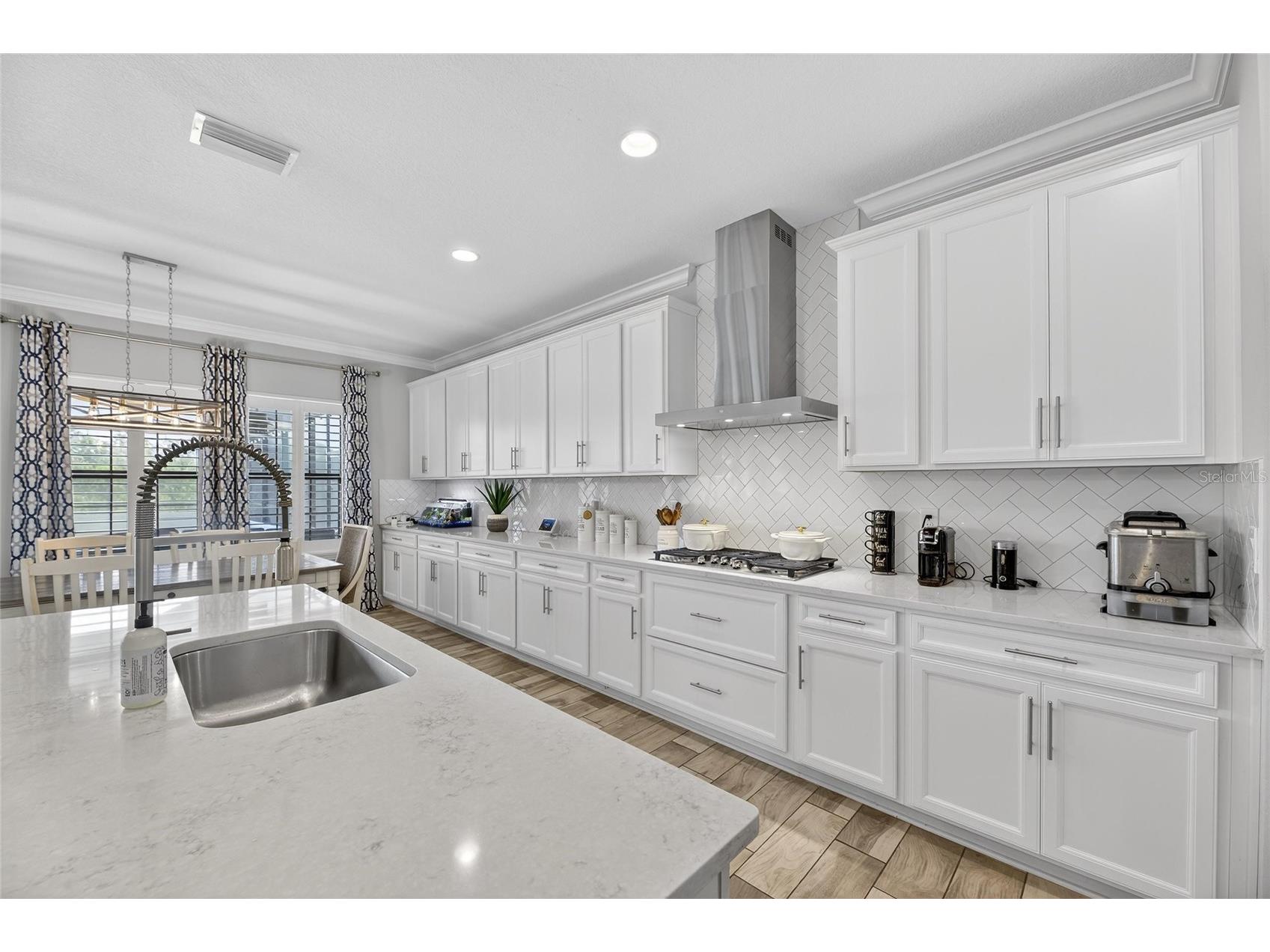 12444 Horseshoe Bend Drive Lithia FL 33547 TB8493182 image14