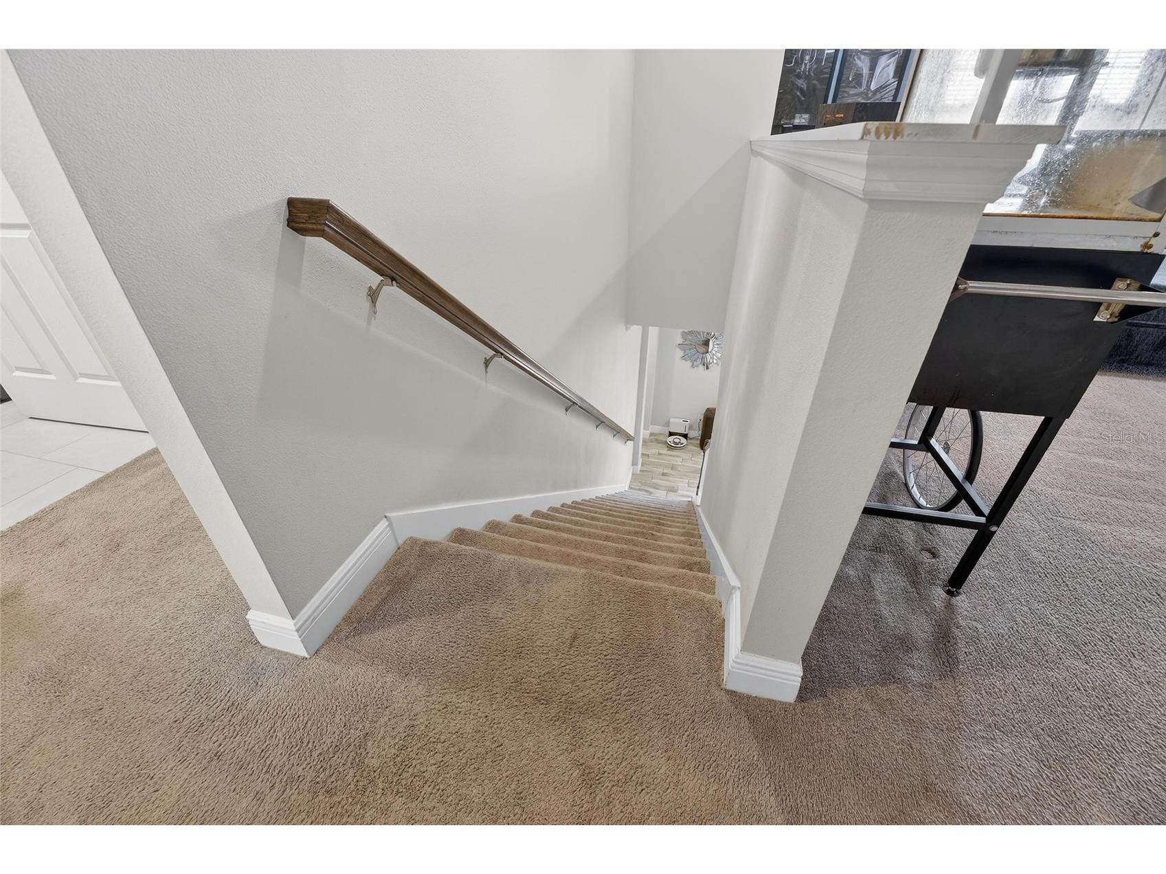 12444 Horseshoe Bend Drive Lithia FL 33547 TB8493182 image24