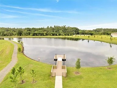 12445 Horseshoe Bend Drive Lithia FL 33547 TB8480759 image32
