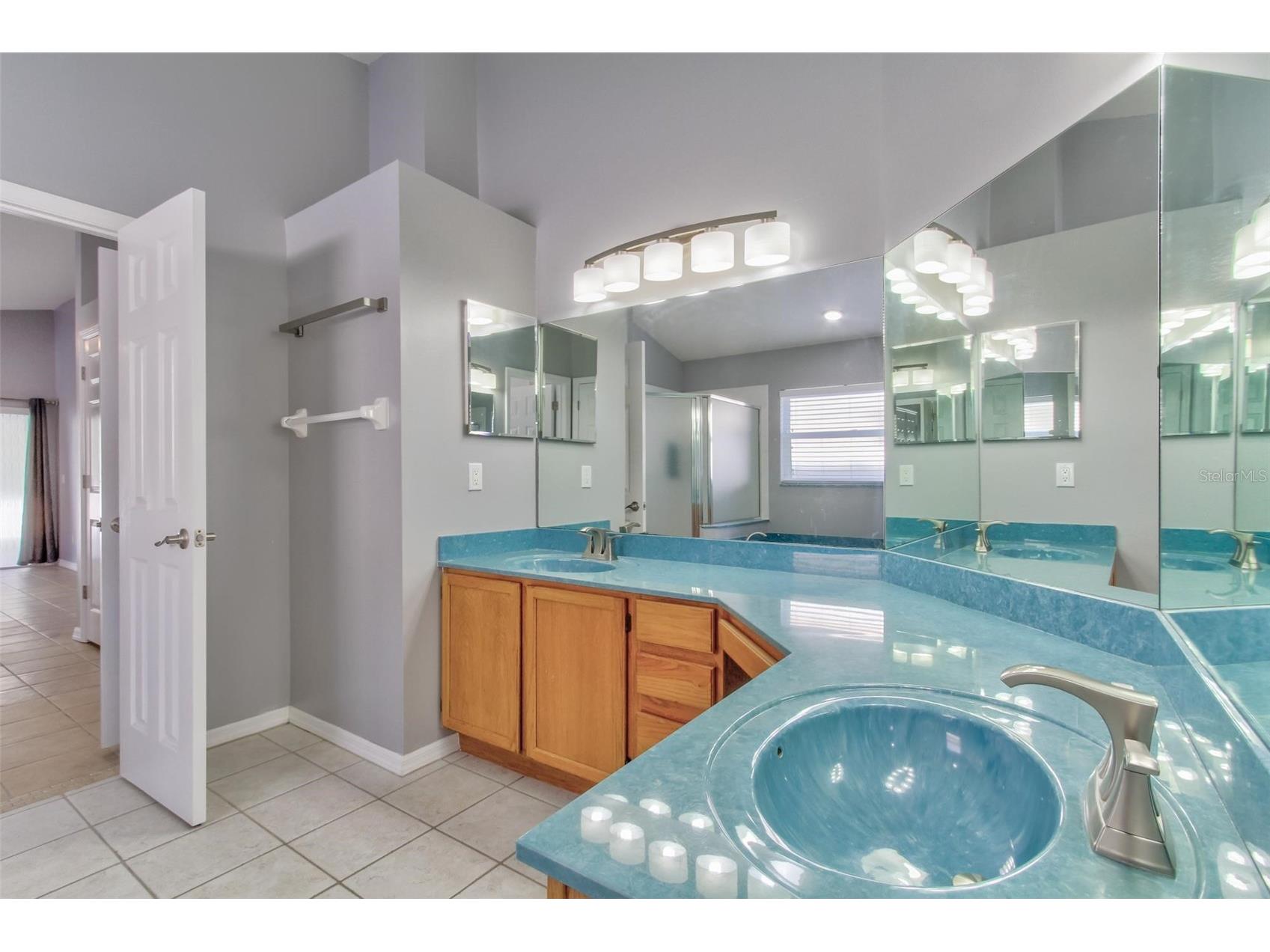 12446 Bohannon Boulevard Orlando FL 32824 S5147800 image19