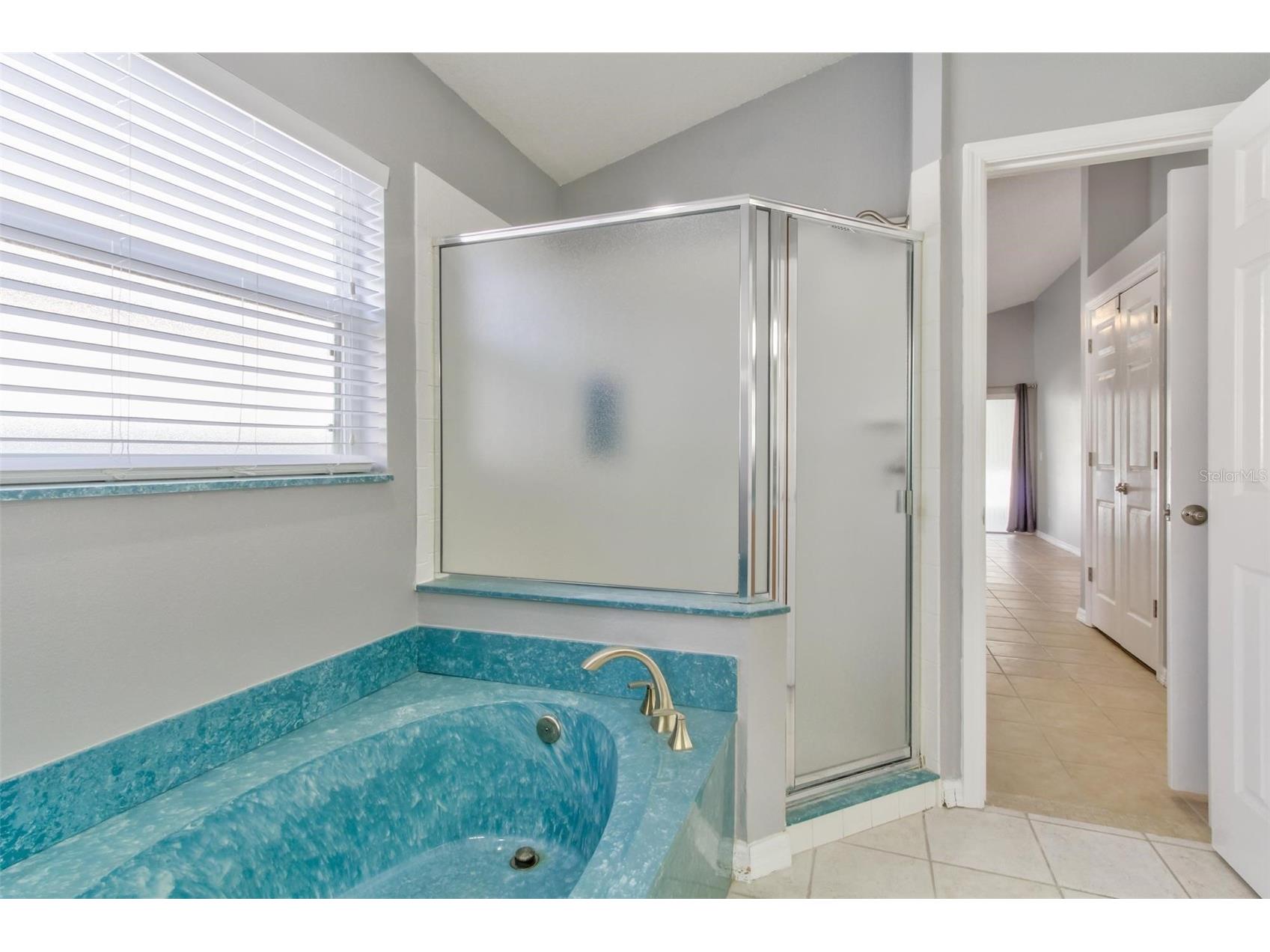 12446 Bohannon Boulevard Orlando FL 32824 S5147800 image22