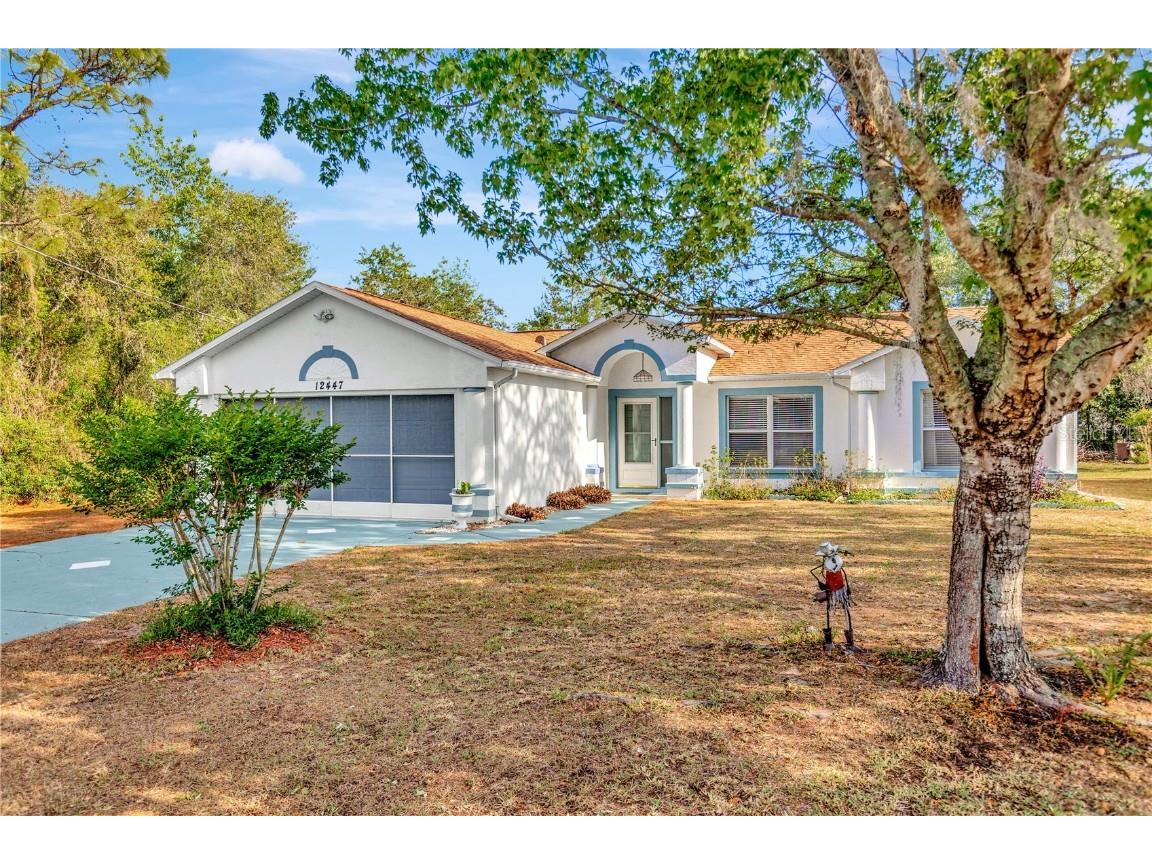 12447 Drysdale Street Spring Hill FL 34609 U8197069 image1