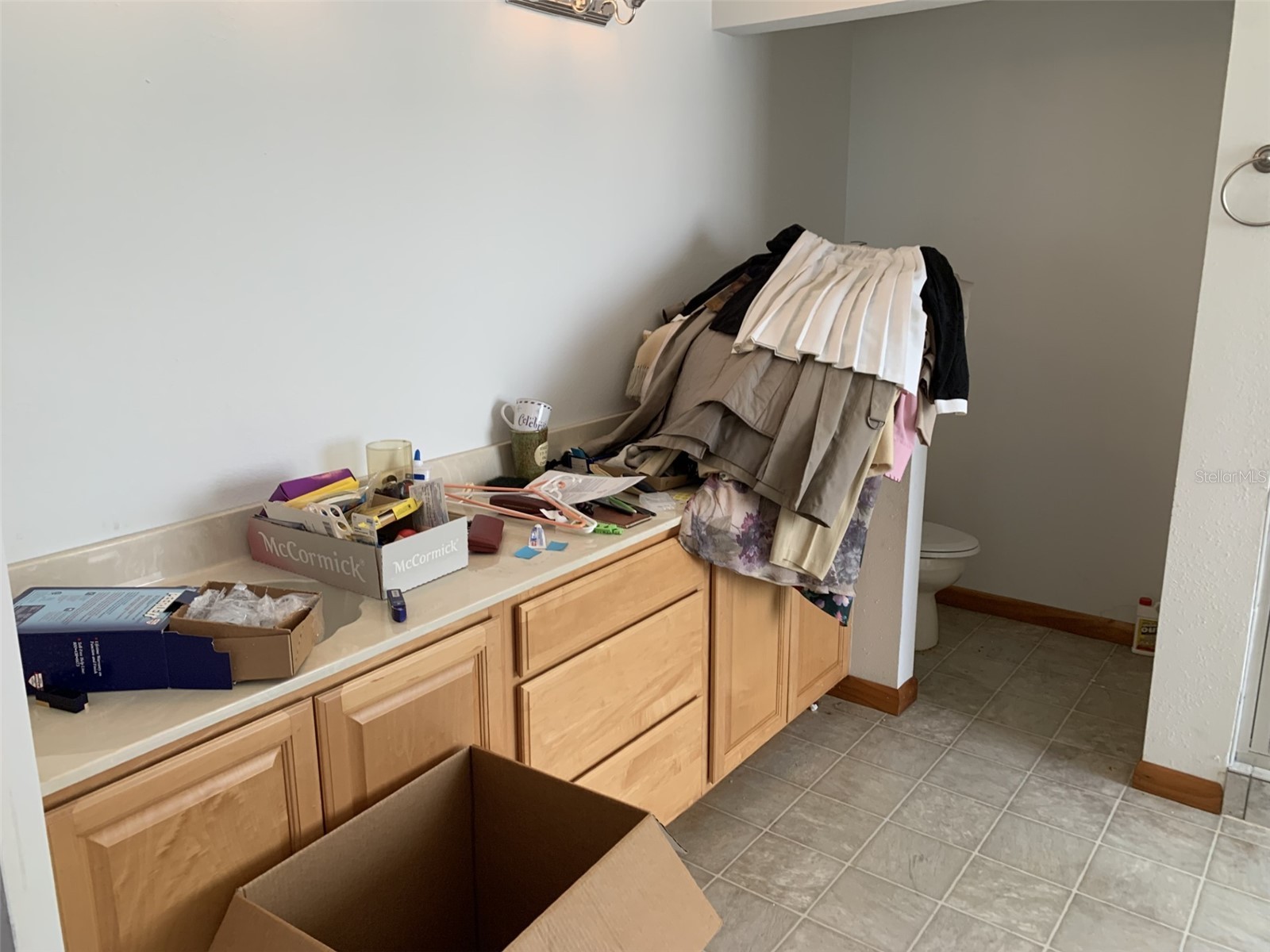 12448 Braxted Drive Orlando FL 32837 S5149862 image17