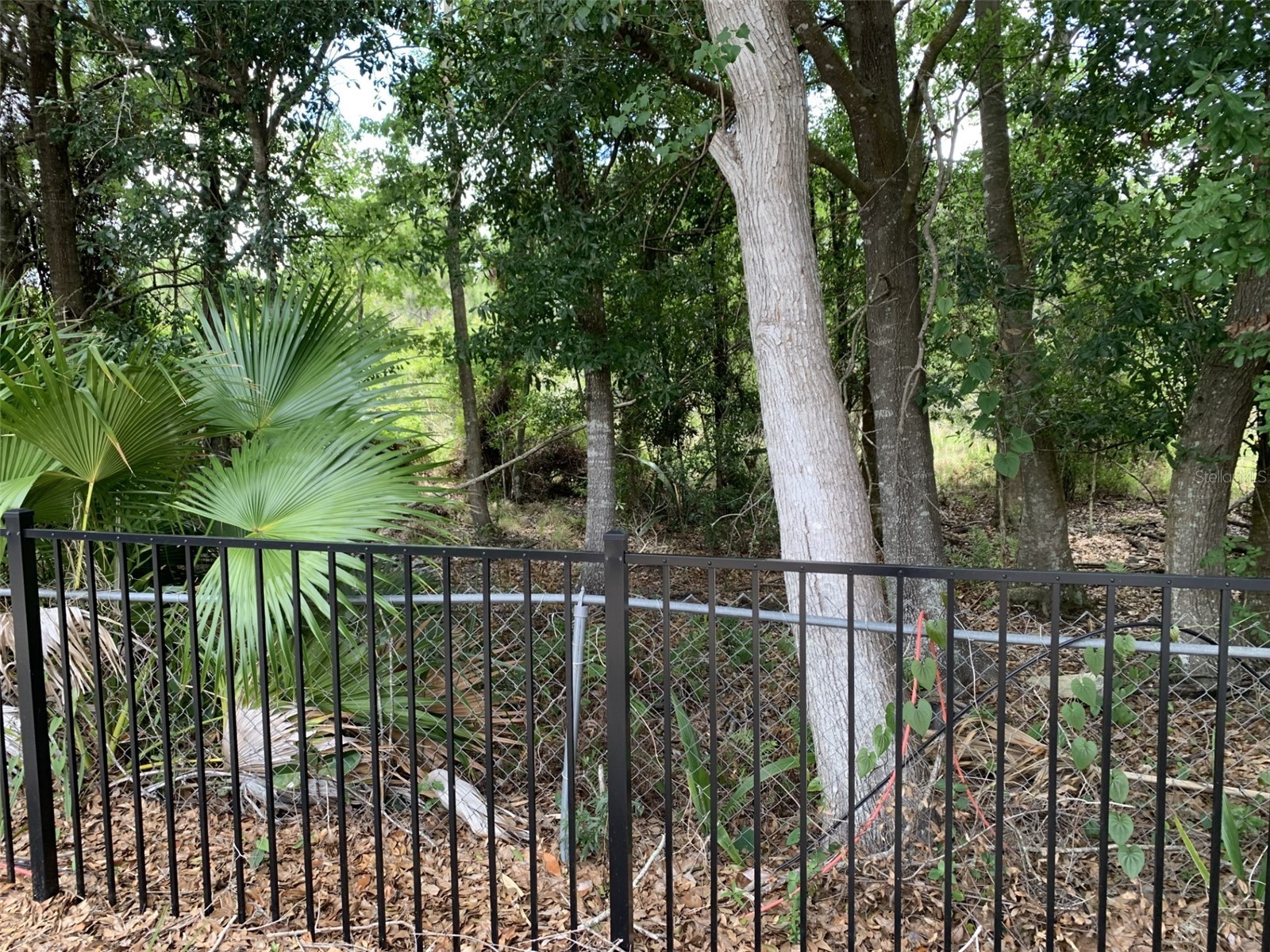 12448 Braxted Drive Orlando FL 32837 S5149862 image25