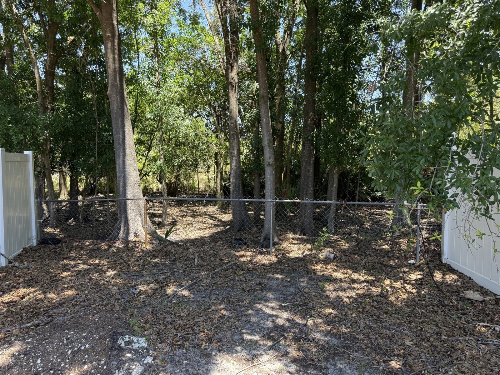 12448 Braxted Drive Orlando FL 32837 S5149862 image26