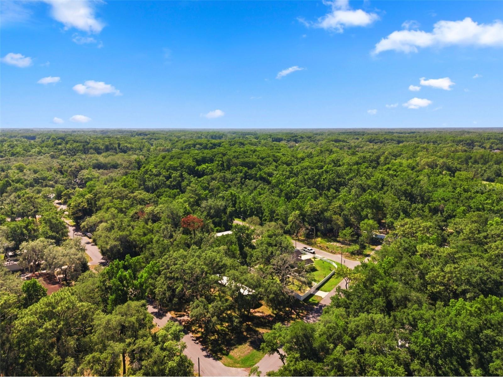 12449 Eagle Lake Avenue New Port Richey FL 34654 - Moon Lake W7885964 image40