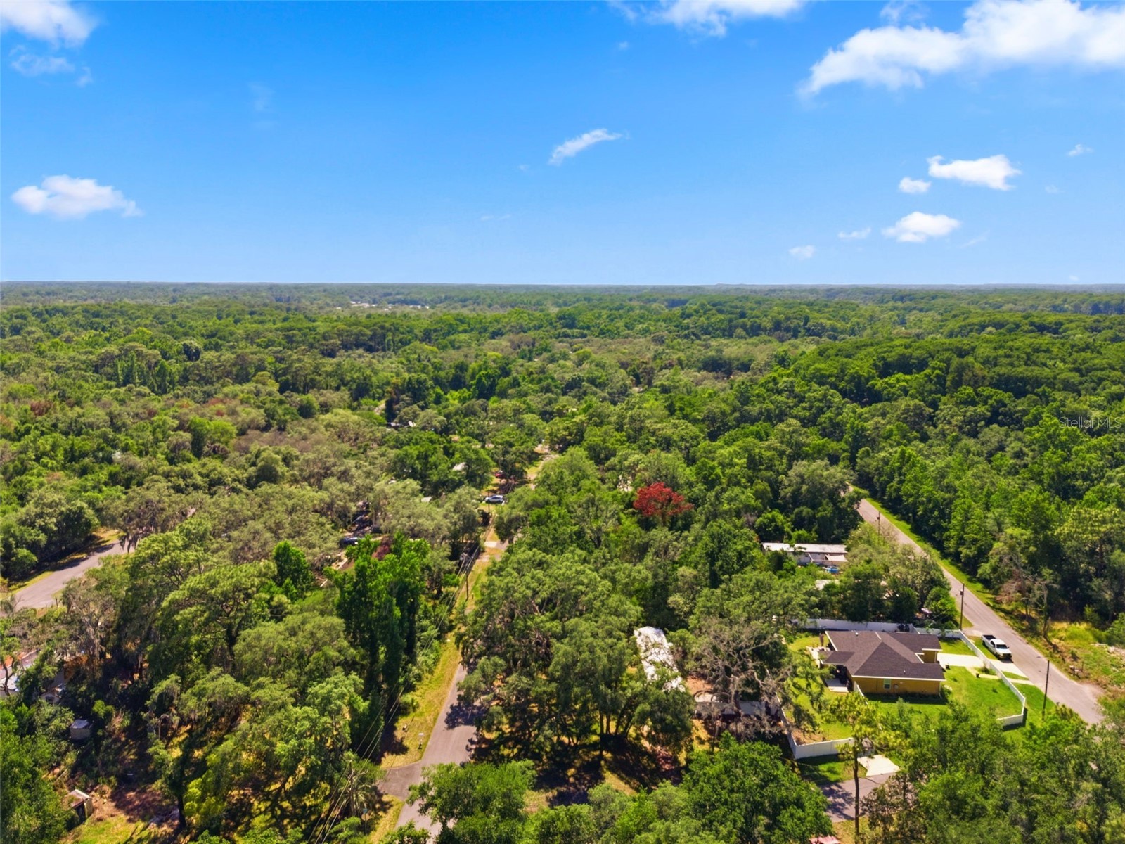 12449 Eagle Lake Avenue New Port Richey FL 34654 - Moon Lake W7885964 image41
