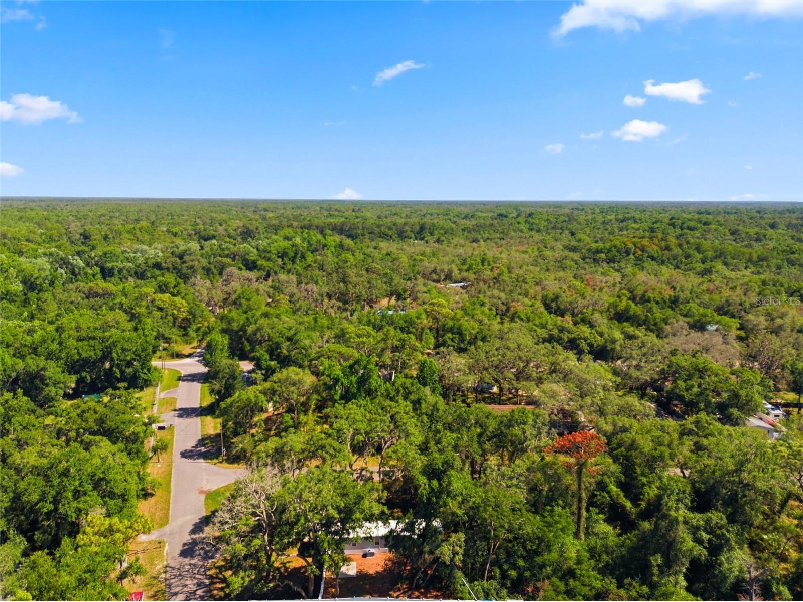 12449 Eagle Lake Avenue New Port Richey FL 34654 - Moon Lake W7885964 image44