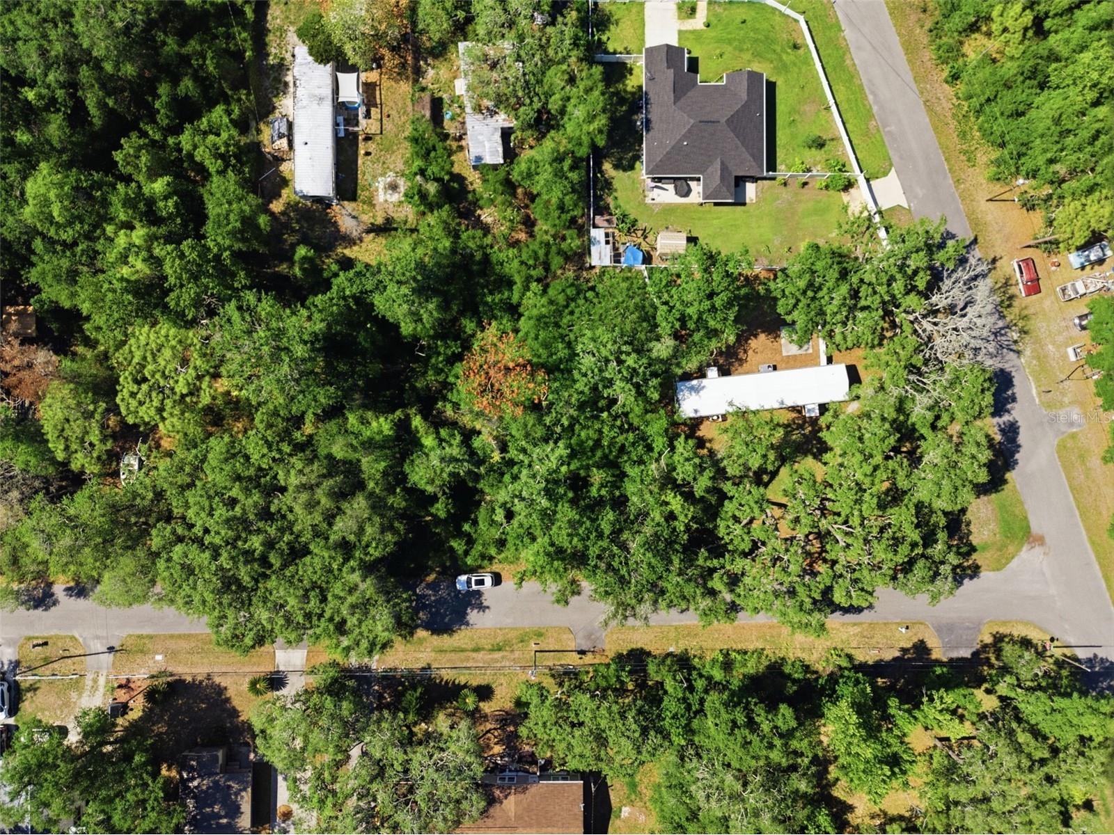 12449 Eagle Lake Avenue New Port Richey FL 34654 - Moon Lake W7885964 image45