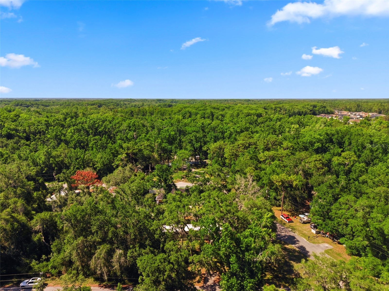 12449 Eagle Lake Avenue New Port Richey FL 34654 - Moon Lake W7885964 image47
