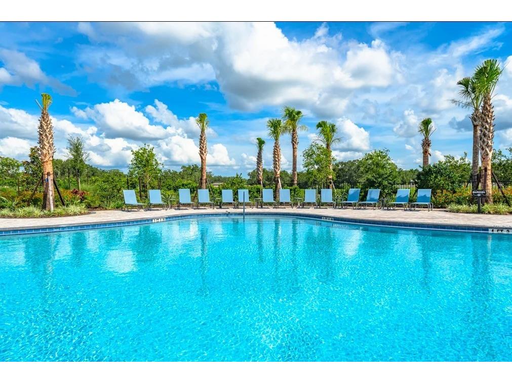 12449 Whisk Court Hudson FL 34669 TB8482463 image35