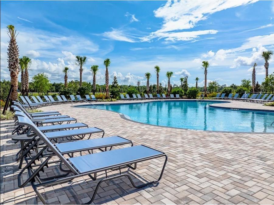 12449 Whisk Court Hudson FL 34669 TB8482463 image36