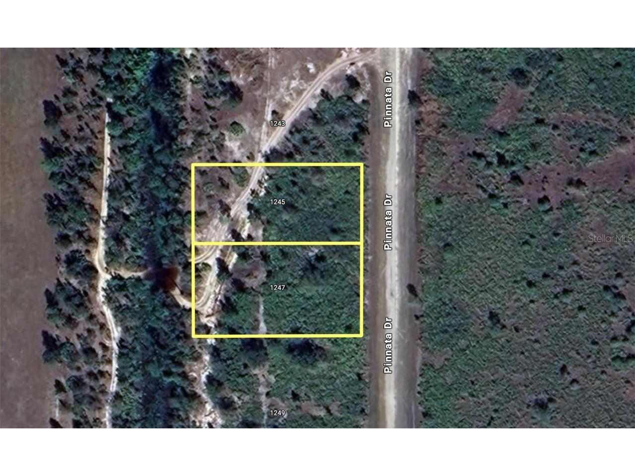 1245 & 1247 Pinnata Drive Indian Lake Estates FL 33855 - LAKE WALK-IN-WATER T3536846 image1