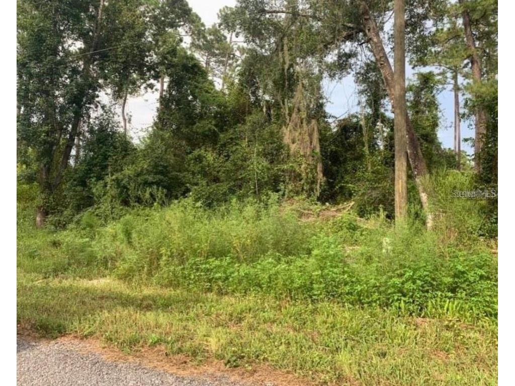 1245 7th Avenue Deland FL 32724 S5117616 image1