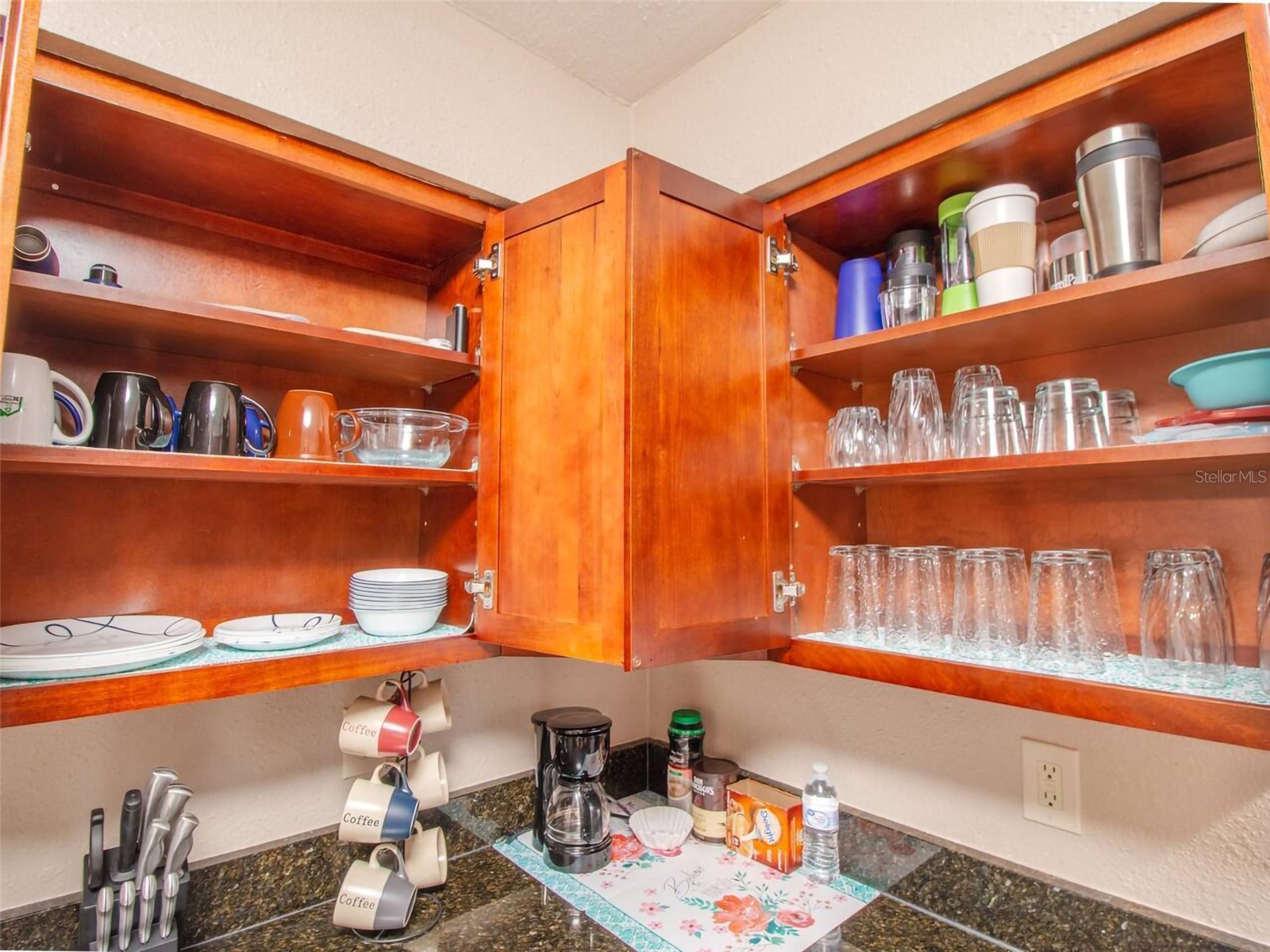 1245 Catalpa Lane Orlando FL 32806 O6378127 image11