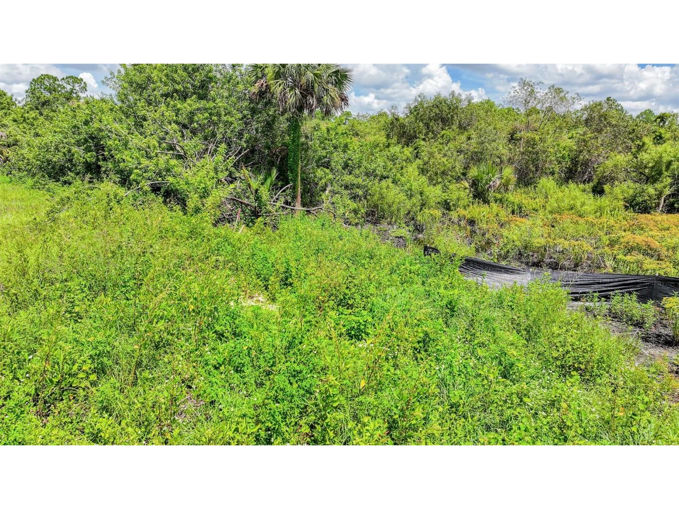 1245 Cavalier Circle Lehigh Acres FL 33974 W7877851 image13