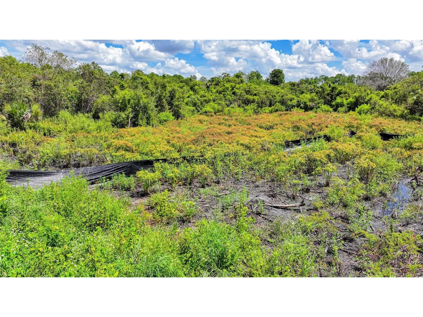 1245 Cavalier Circle Lehigh Acres FL 33974 W7877851 image14