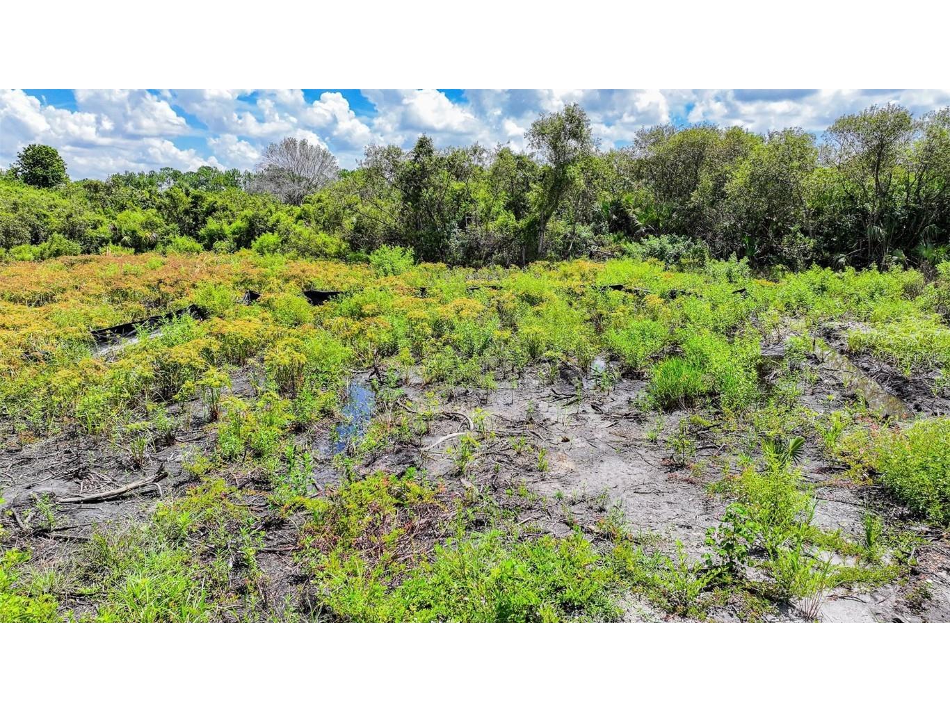 1245 Cavalier Circle Lehigh Acres FL 33974 W7877851 image15