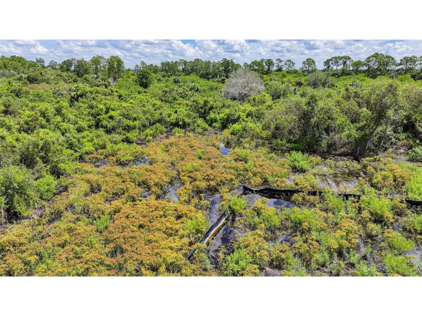 1245 Cavalier Circle Lehigh Acres FL 33974 W7877851 image16