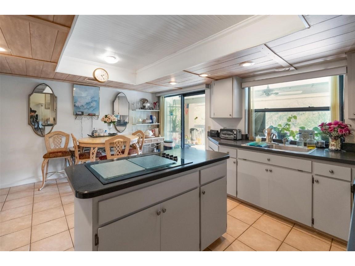 1245 Curlew Road Dunedin FL 34698 - CURLEW CREEK TB8450486 image13