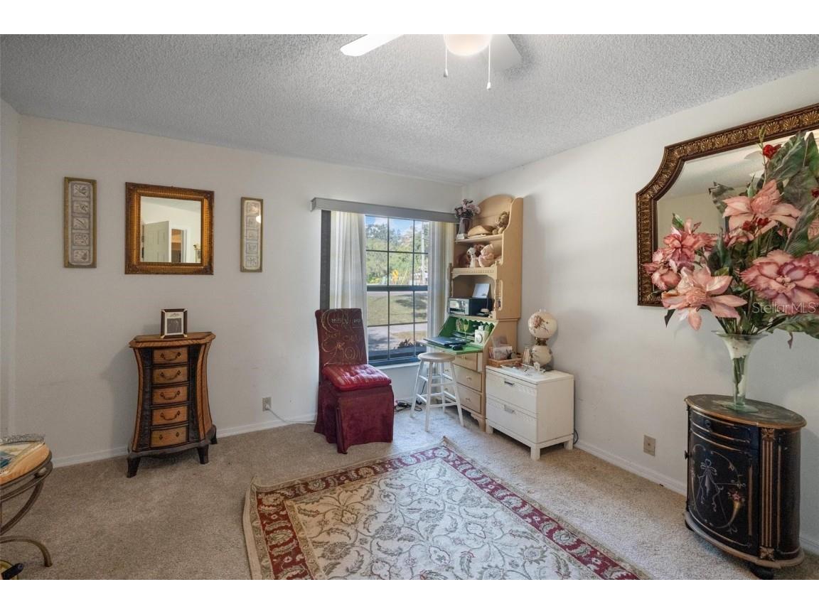 1245 Curlew Road Dunedin FL 34698 - CURLEW CREEK TB8450486 image23