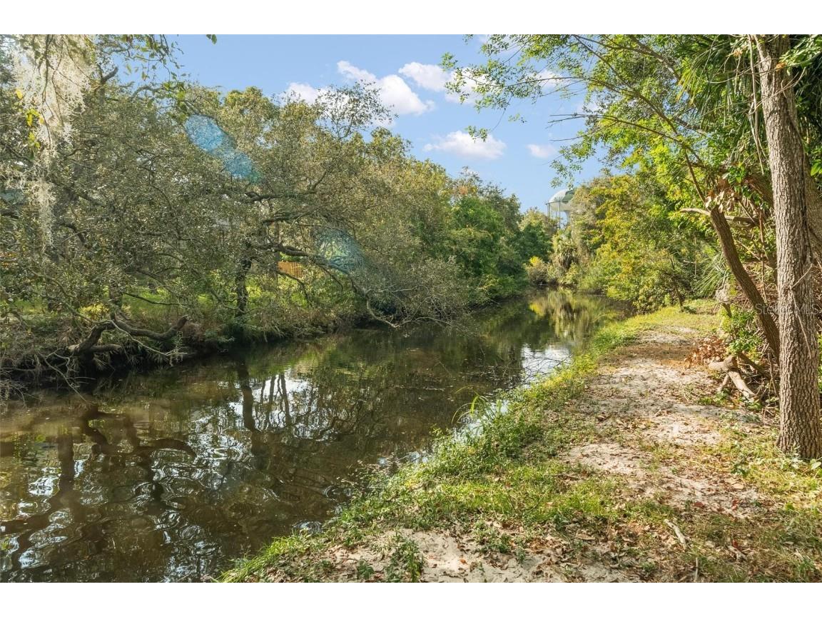 1245 Curlew Road Dunedin FL 34698 - CURLEW CREEK TB8450486 image37