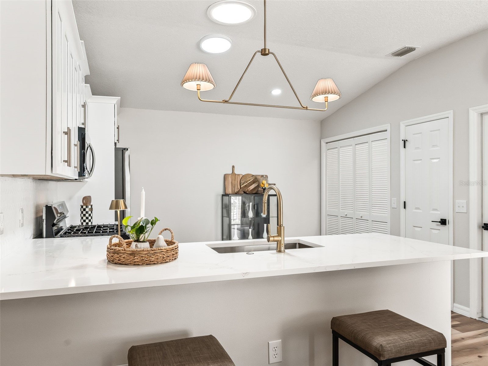 1245 Jonesville Terrace The Villages FL 32162 G5110471 image13
