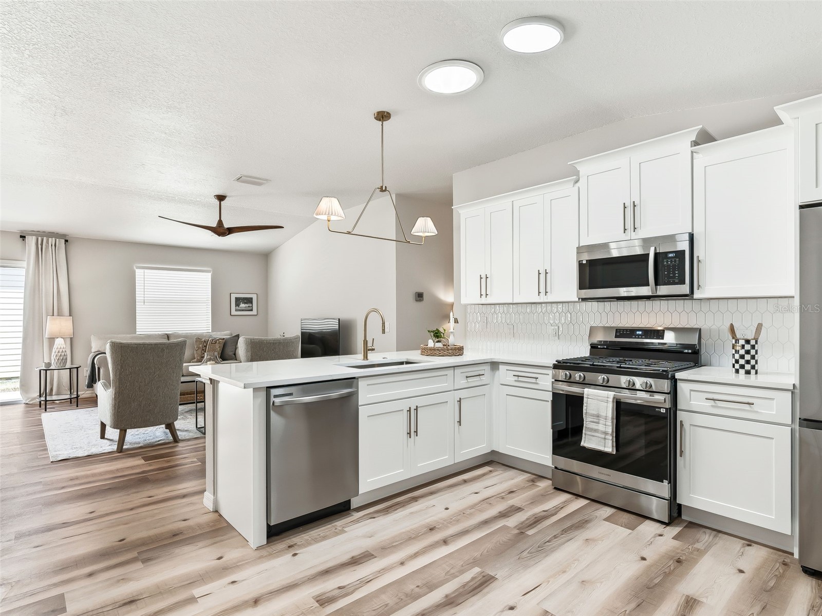 1245 Jonesville Terrace The Villages FL 32162 G5110471 image7