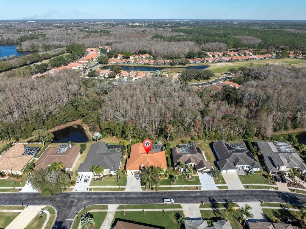 1245 Kings Way Lane Tarpon Springs FL 34688 U8229638 image1