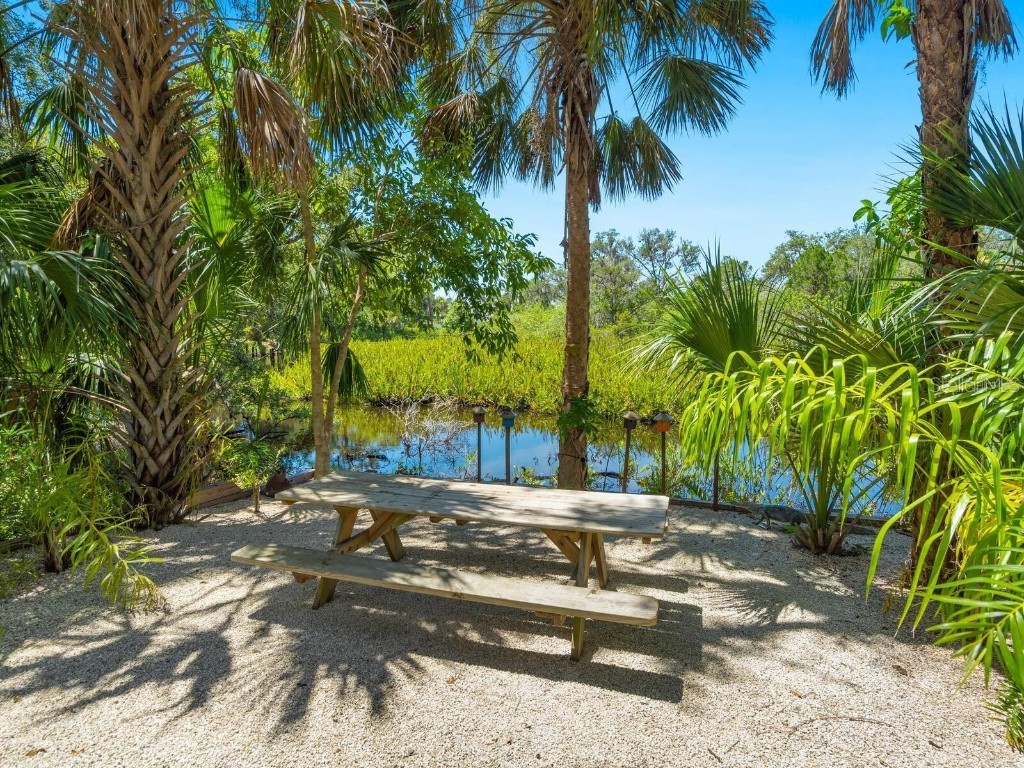 1245 Mill Creek Road Bradenton FL 34212 - MANATEE RIVER A4630074 image52