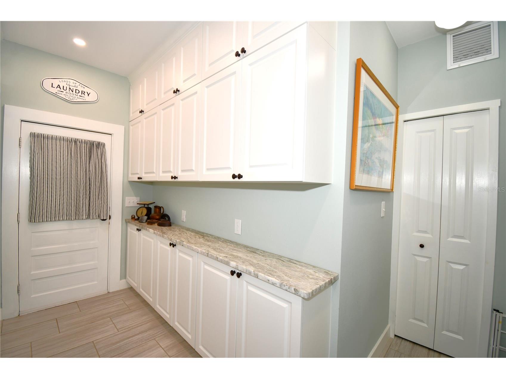 1245 N Alexander Street Mount Dora FL 32757 P4937845 image21