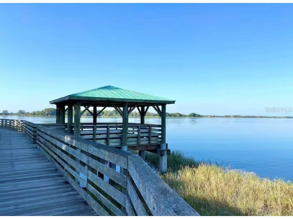 1245 N Alexander Street Mount Dora FL 32757 P4937845 image52