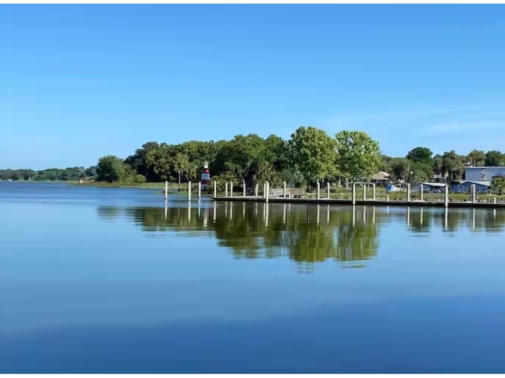 1245 N Alexander Street Mount Dora FL 32757 P4937845 image53