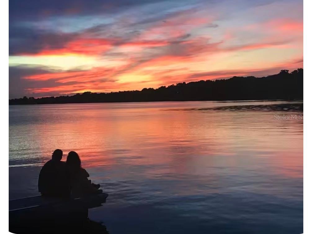 1245 N Alexander Street Mount Dora FL 32757 P4937845 image55