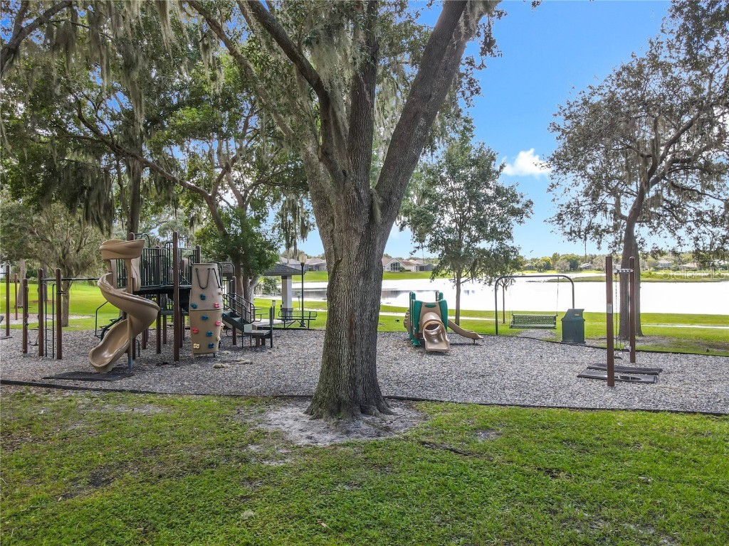 1245 Pallister Lane Lake Mary FL 32746 O6348598 image90