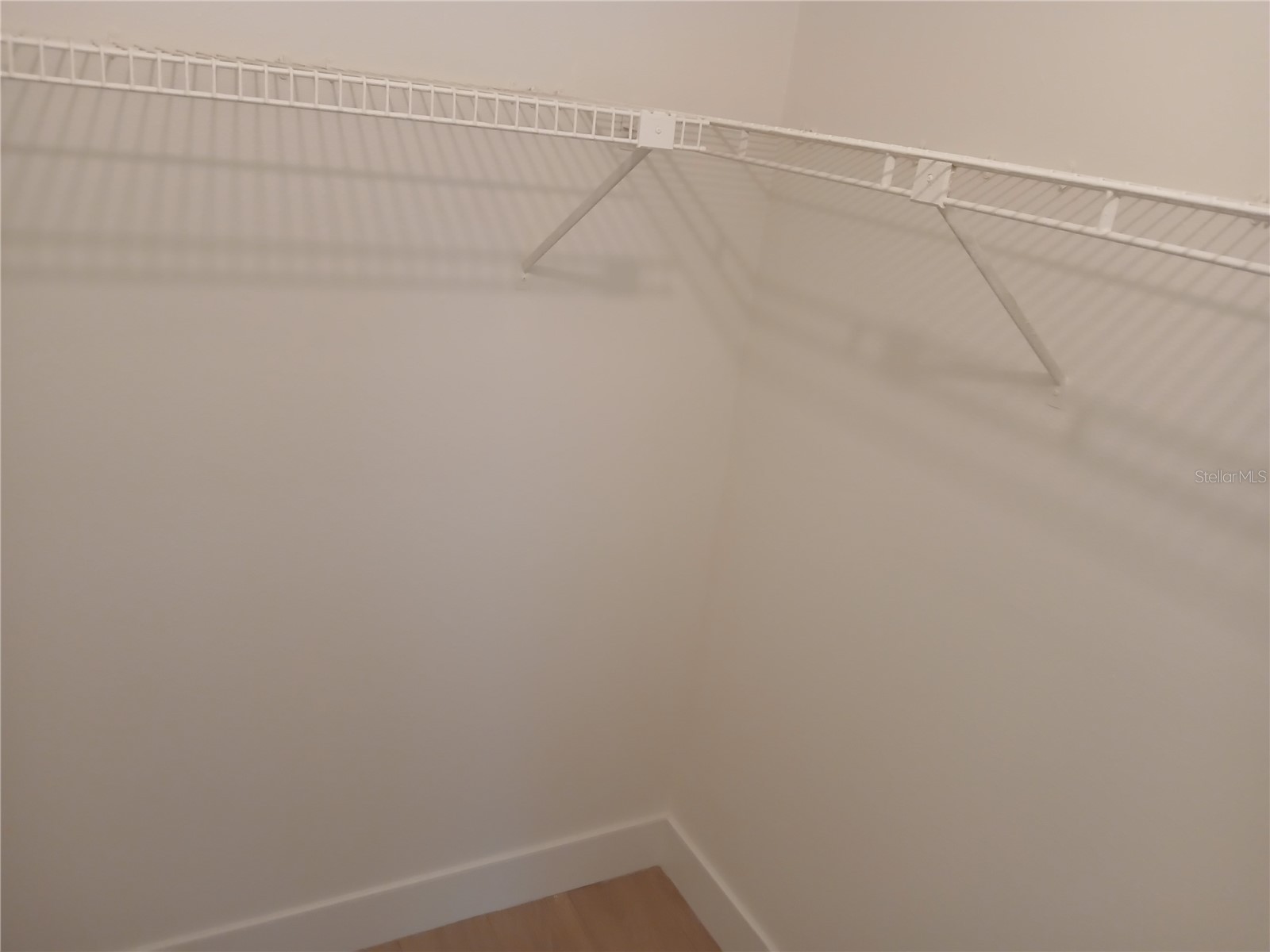 1245 S Martin Luther King Jr Avenue #104 Clearwater FL 33756 TB8524088 image19