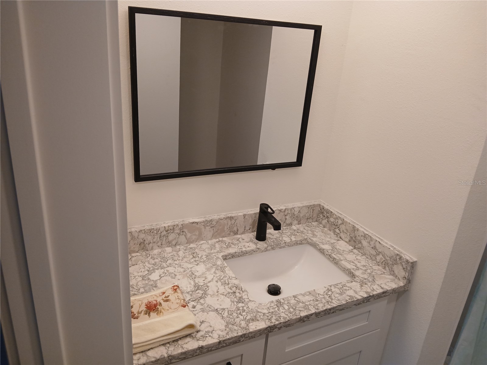 1245 S Martin Luther King Jr Avenue #104 Clearwater FL 33756 TB8524088 image24