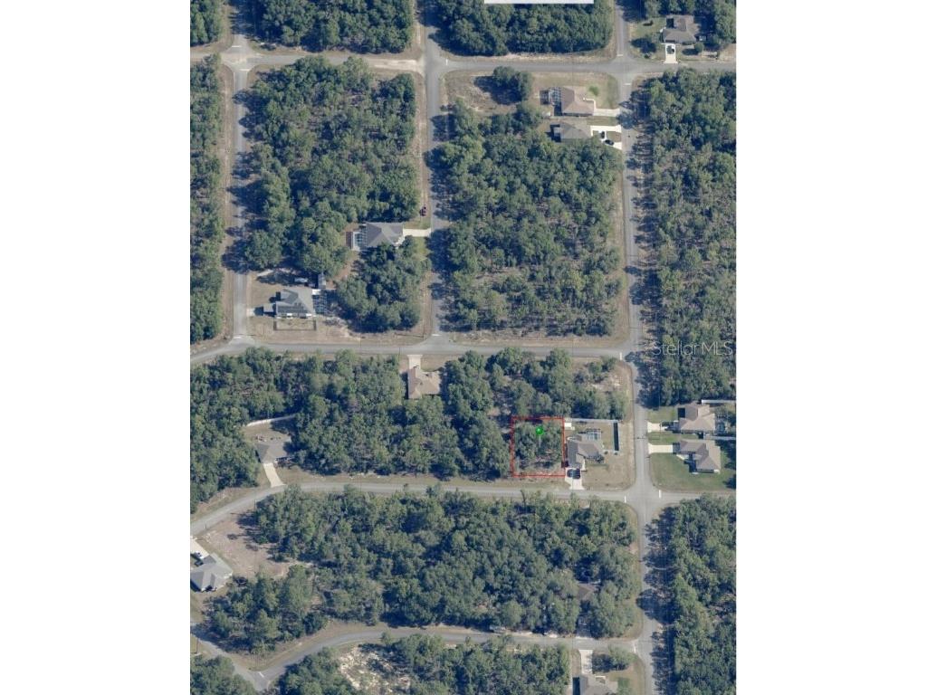 1245 W Mcneal Drive Citrus Springs FL 34434 O6233819 image1