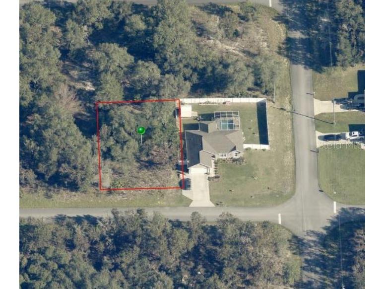 1245 W Mcneal Drive Citrus Springs FL 34434 T3459026 image1