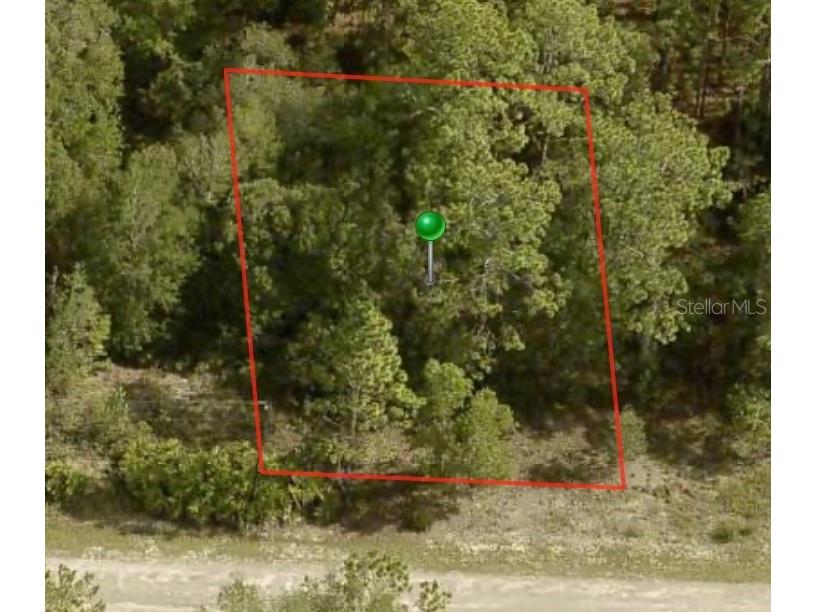 1245 W Riley Drive Citrus Springs FL 34434 A4599090 image2