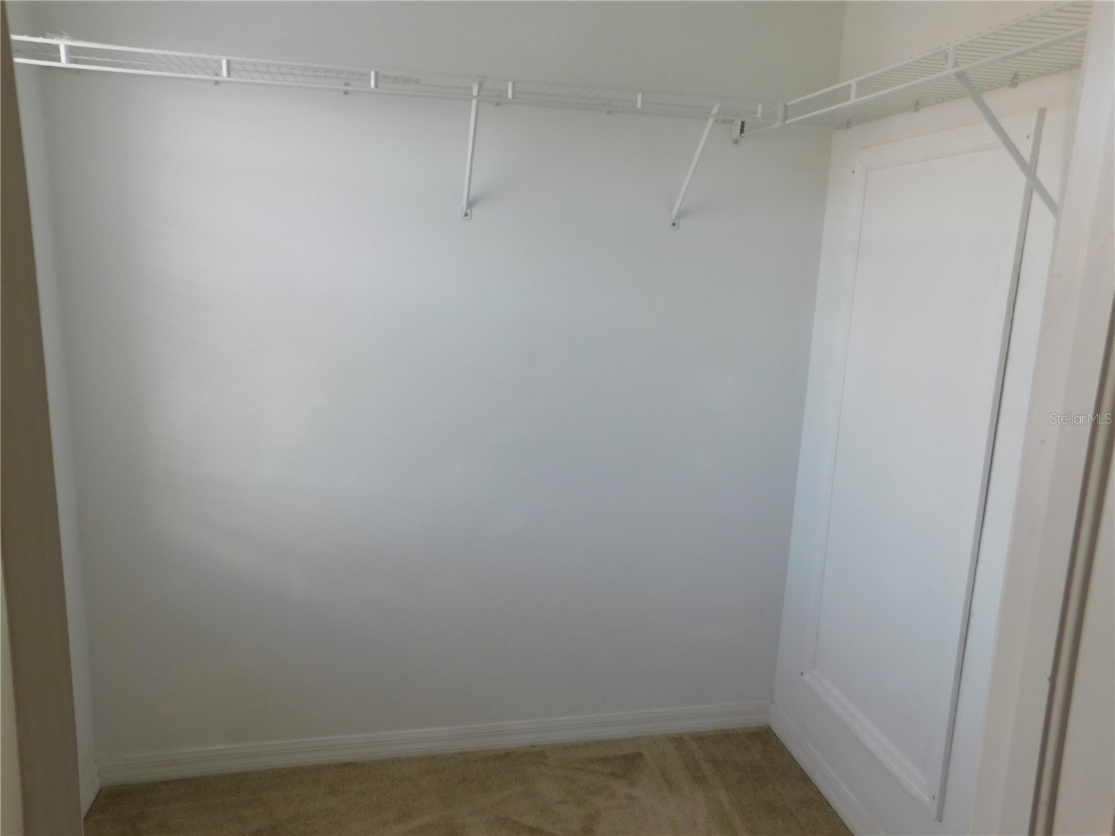 12450 Country White Circle Tampa FL 33635 TB8527529 image17