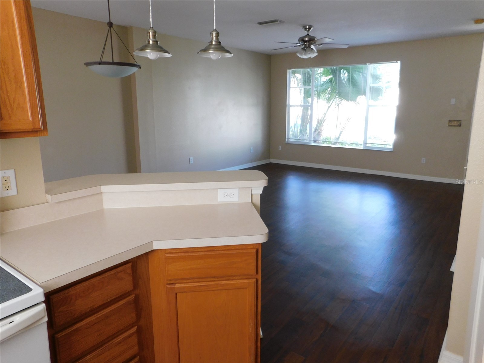 12450 Country White Circle Tampa FL 33635 TB8527529 image8