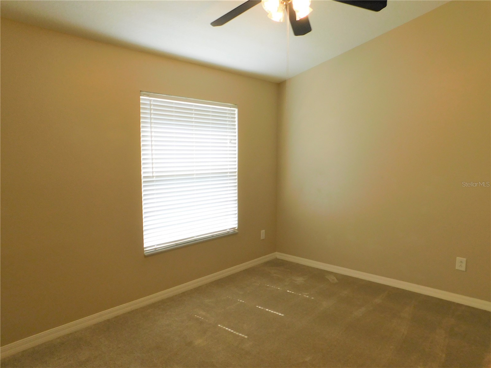 12450 Country White Circle Tampa FL 33635 TB8527529 image9