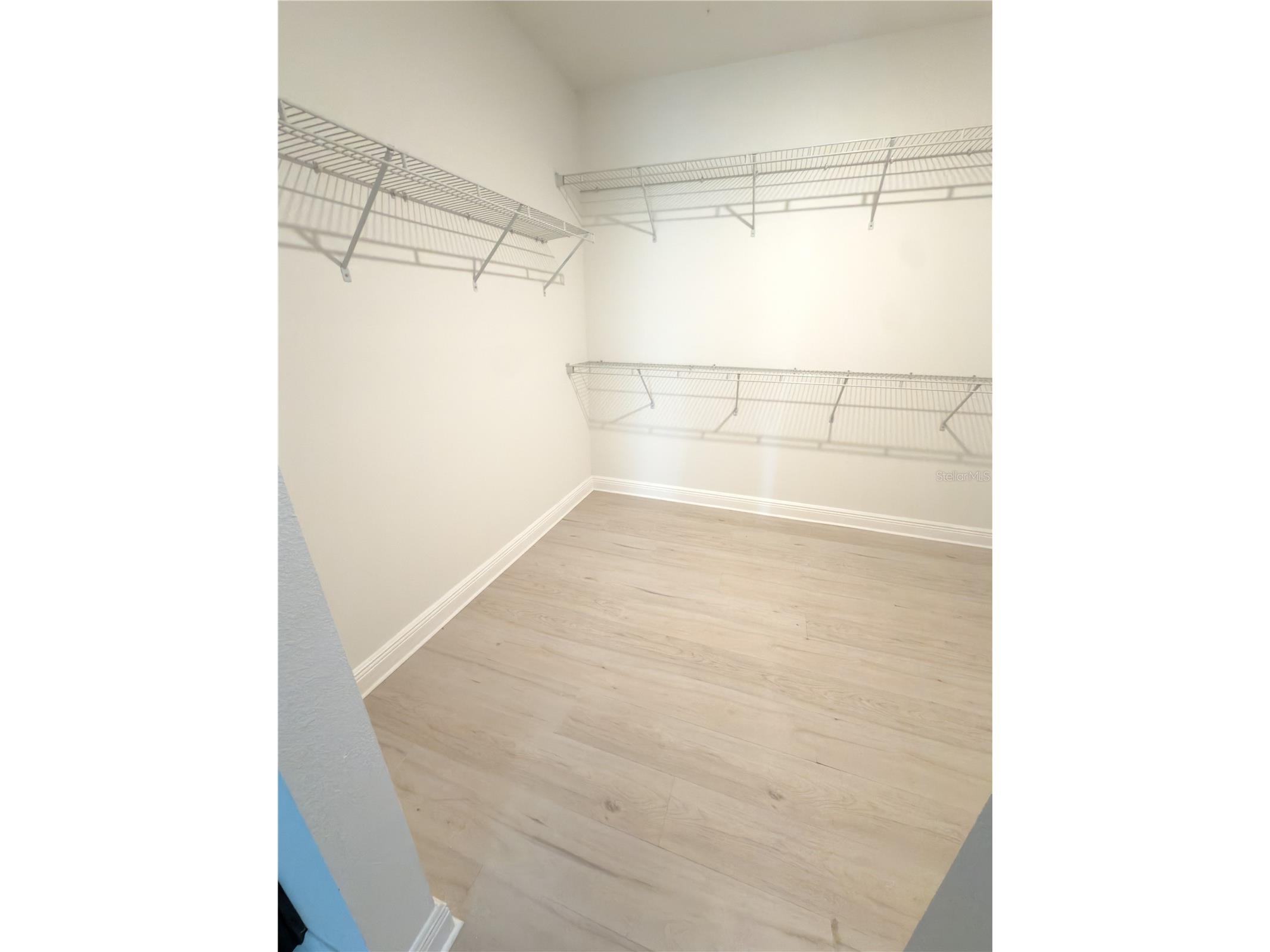 12450 Fish Cove Drive Spring Hill FL 34609 S5138033 image22