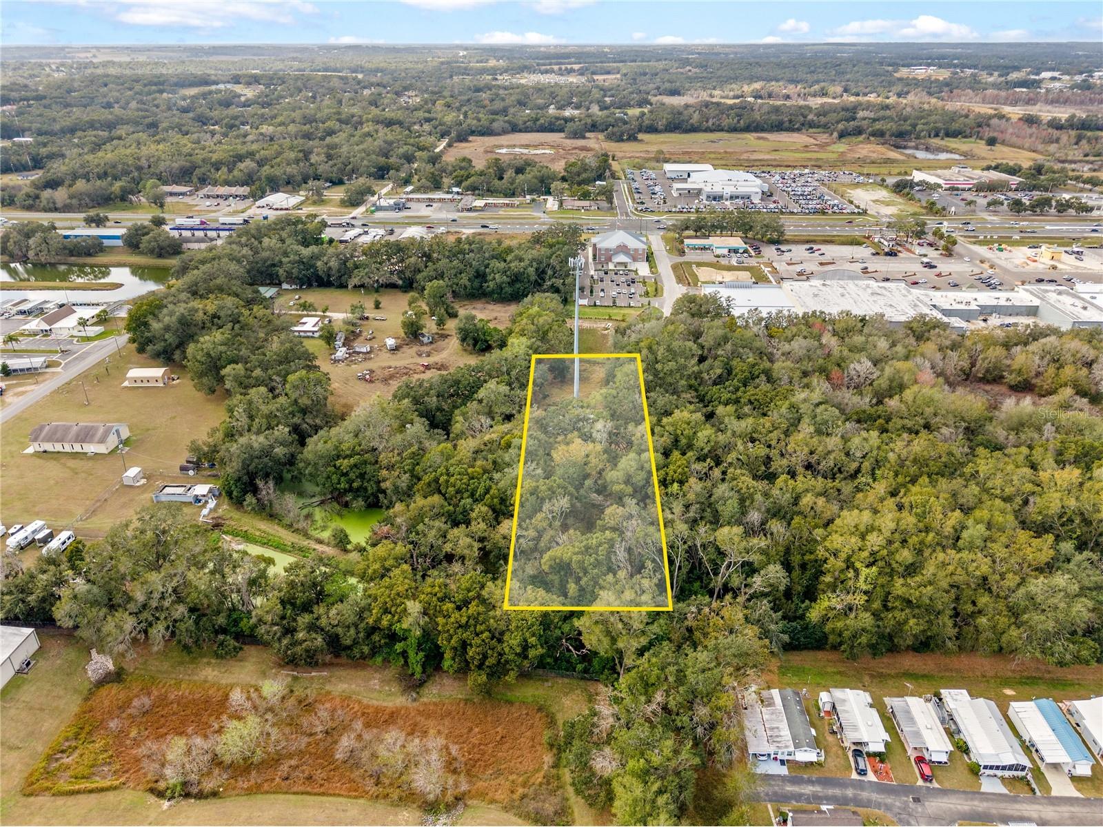 12450 Us Highway 301 Dade City FL 33525 W7882137 image5