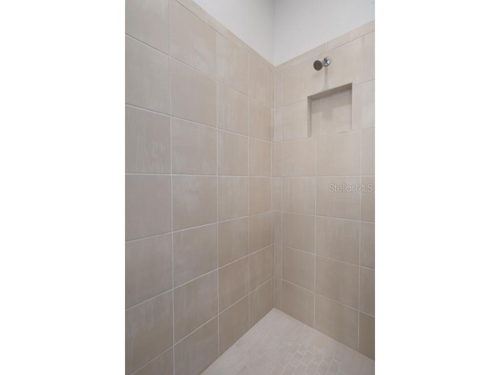 12451 Brick Cobblestone Drive Riverview FL 33579 TB8433185 image42