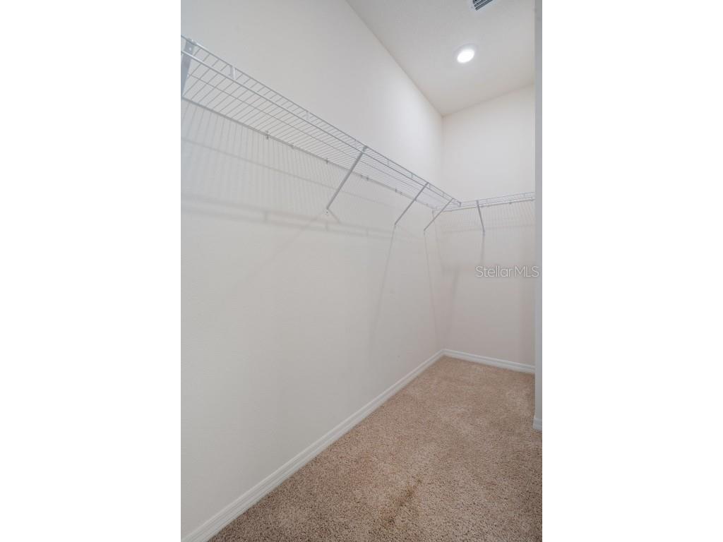 12451 Brick Cobblestone Drive Riverview FL 33579 TB8433185 image45