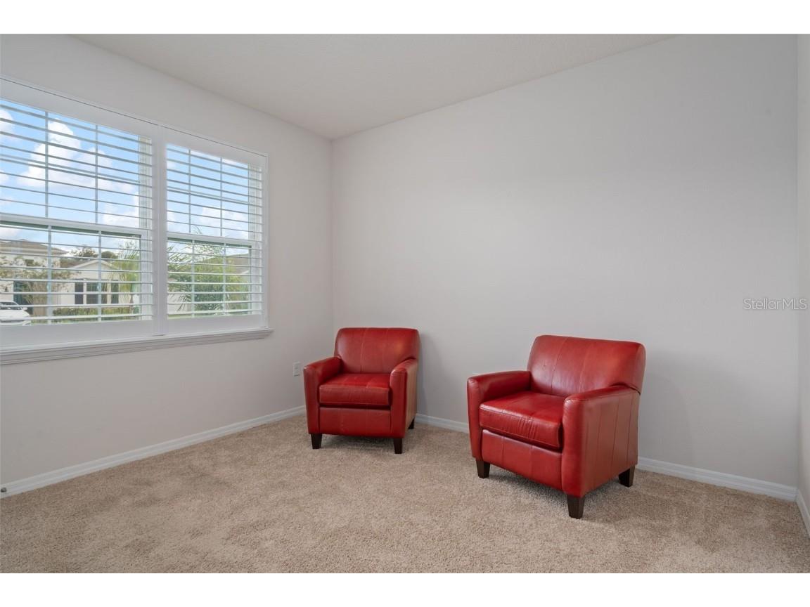 12451 Brick Cobblestone Drive Riverview FL 33579 TB8433185 image52