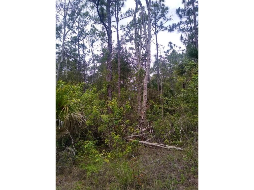 12451 Caravan Drive Punta Gorda FL 33955 C7477712 image1