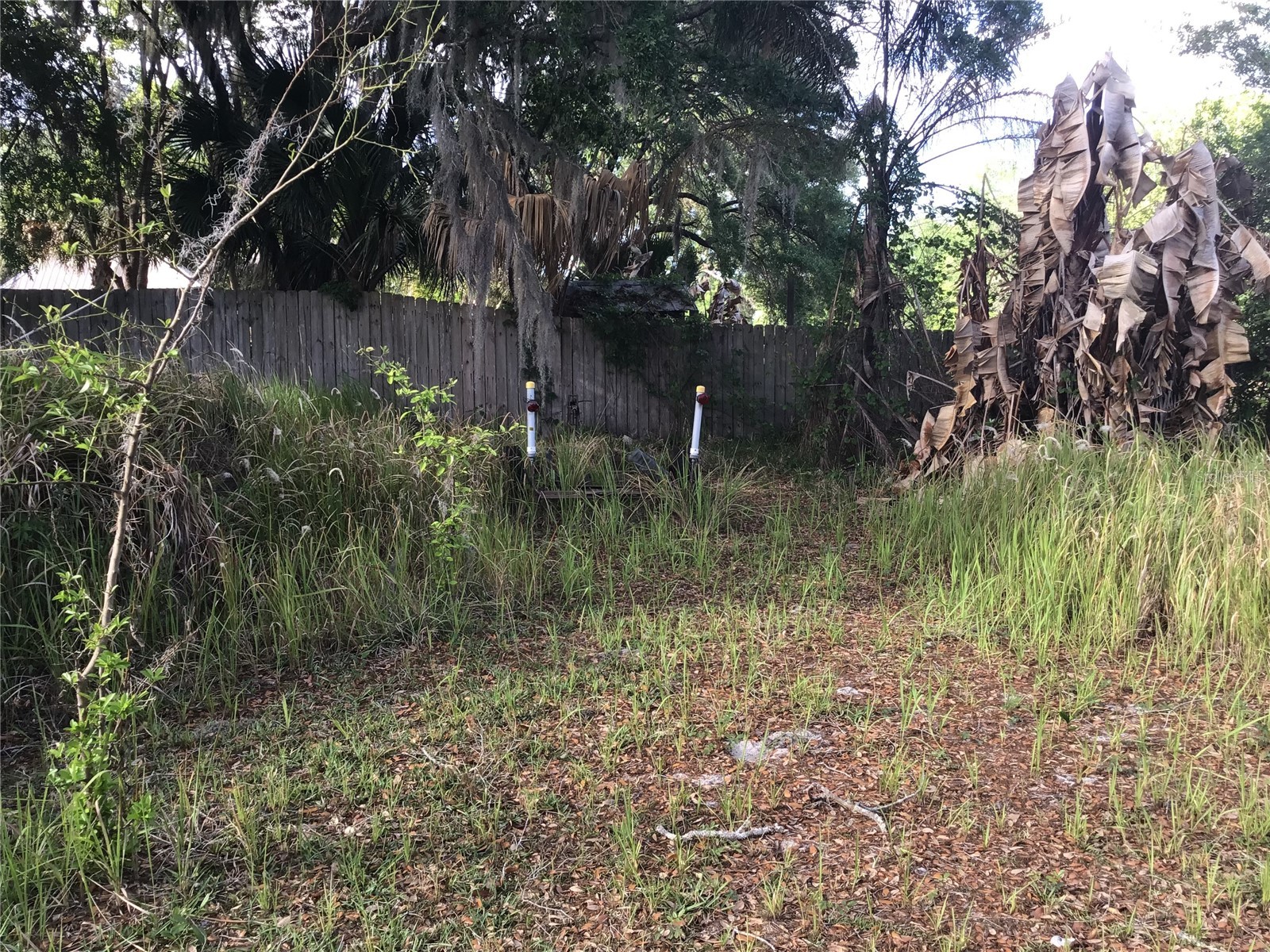 12451 SE 115th Avenue Belleview FL 34420 - LAKE BOWER OM721244 image15